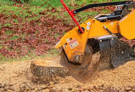 How Our Tree Care Process Works  in  Potomac Park, CA